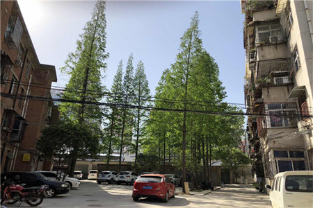 聚福园二楼100平三室中装带储藏室车库76万可按揭